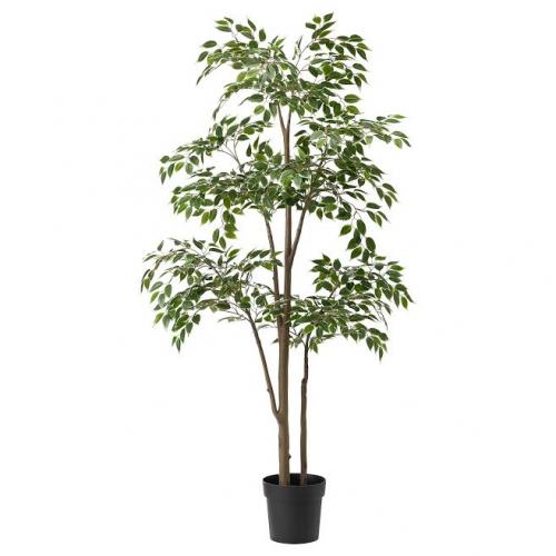 Plante verte Ficus 1m80 - Plante artificielle